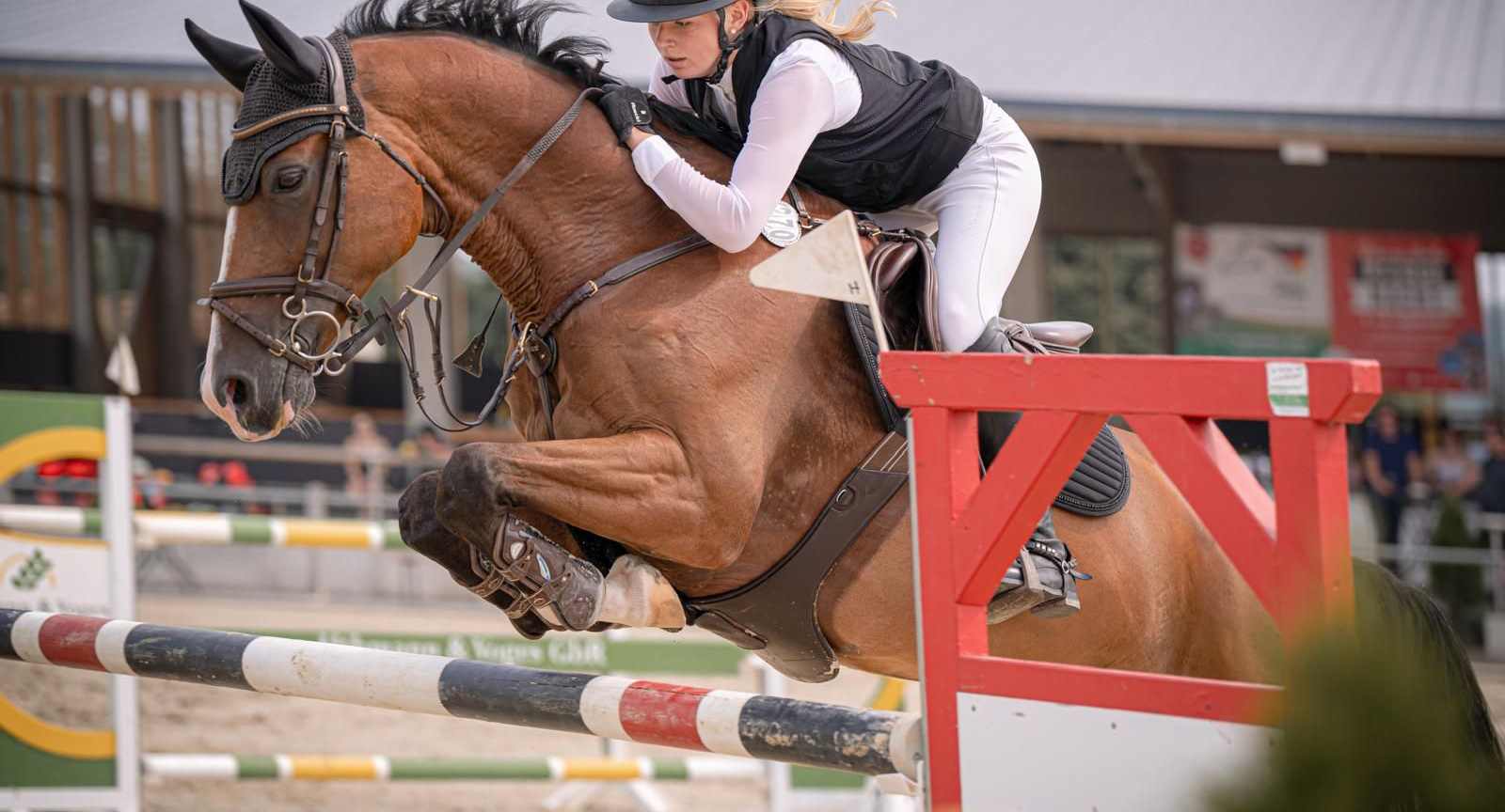Springreiterin mit braunem Pferd beim Turniersprung – VDHP e.V. – Verband der Hufpfleger e.V.